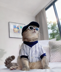 White & Navy Striped Cat Baseball Jersey