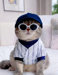 White & Navy Striped Cat Baseball Jersey