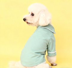 Mint Green Contrast Piping Dog Pajama Set