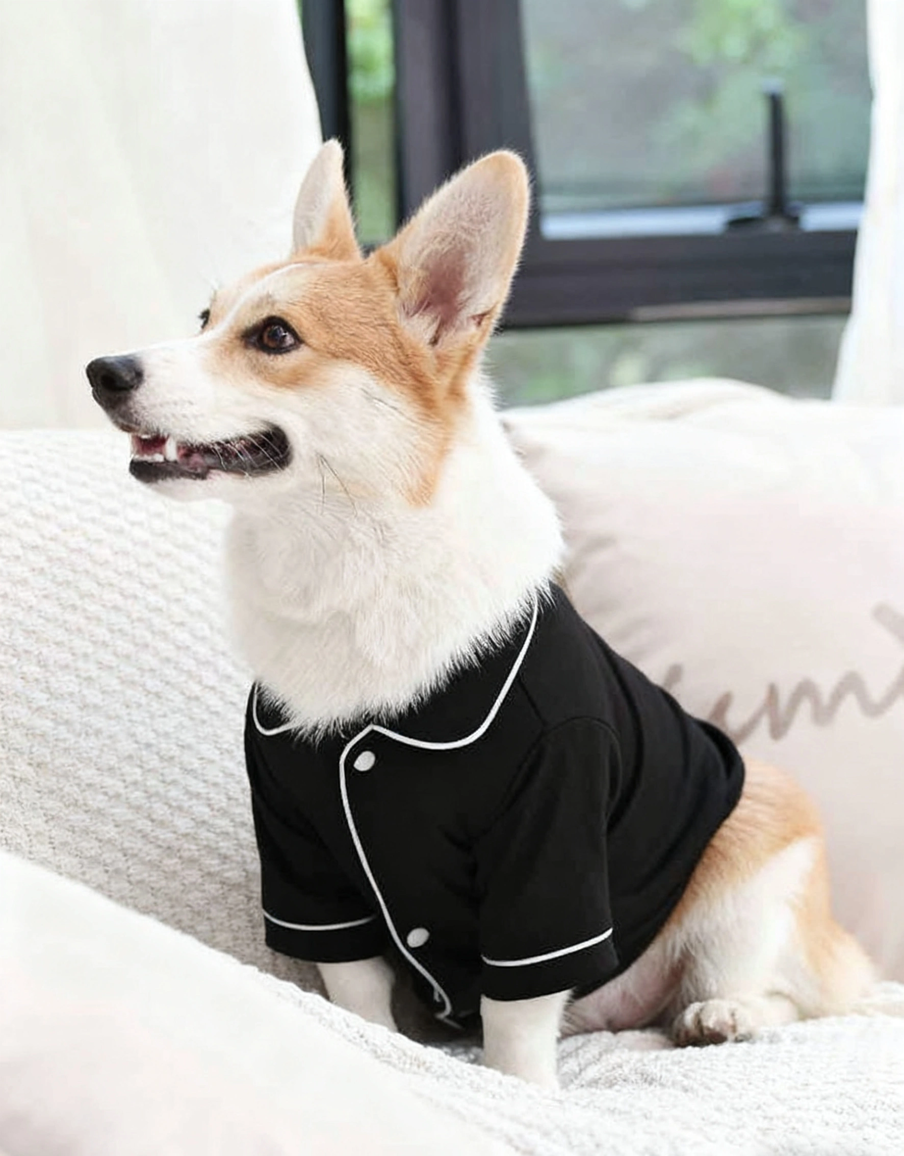 Dog pajama shirt reference image for wholesale review