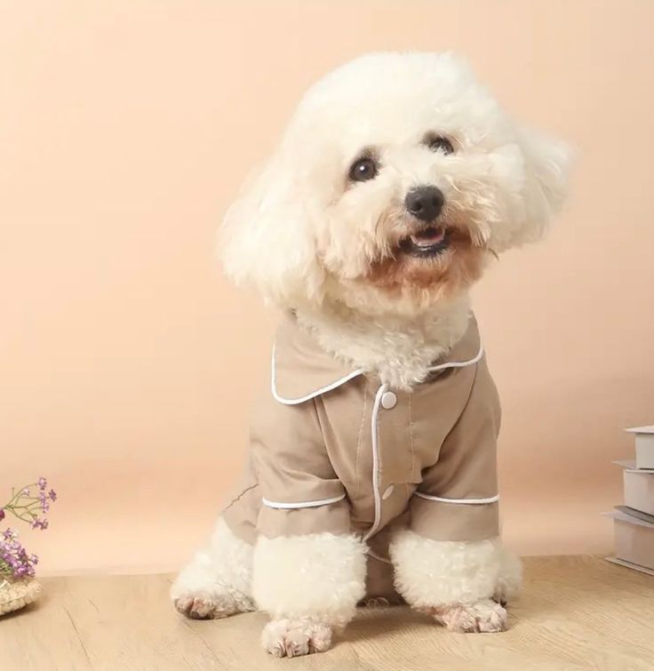 Beige Contrast Piping Dog Pajama Set