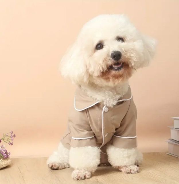 Beige Contrast Piping Dog Pajama Set