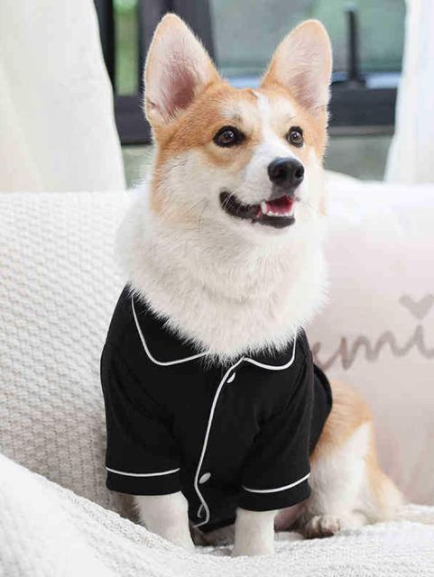 Dog Jackets – Black Cotton-Blend Button Jacket with Contrast Trim