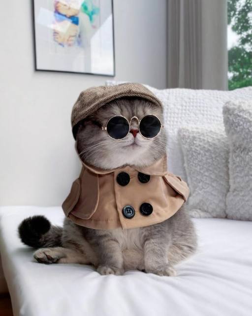 British style Beige Trench Coat Cape for Cats
