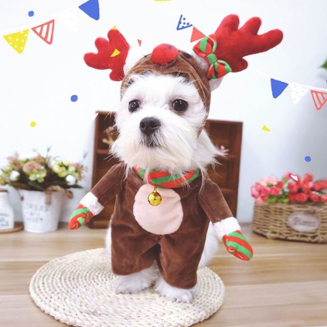 Custom Dog Hoodie – Reindeer Velvet Holiday Onesie