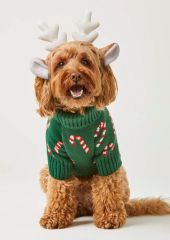 Green Candy Cane Print Dog Christmas Sweater