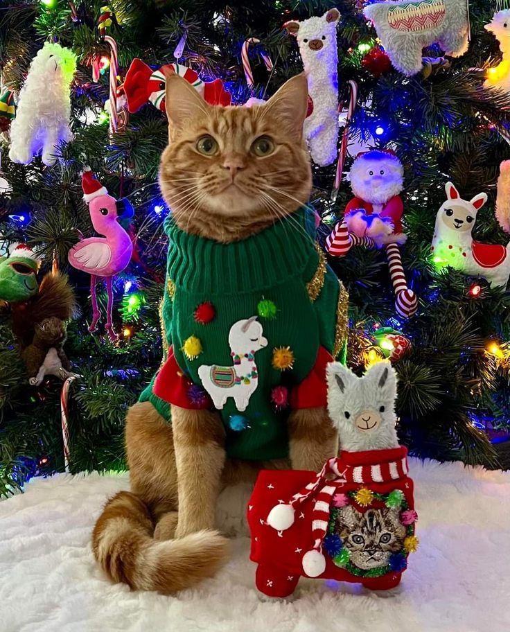 Green Llama Print Christmas Cat Sweater with Pom