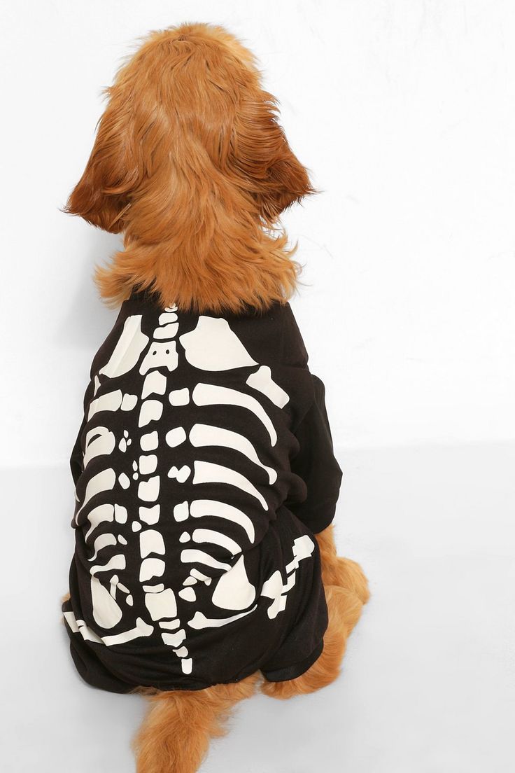 Halloween Black Skeleton Print Dog Onesie
