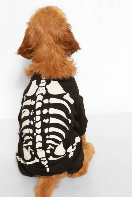 Halloween Black Skeleton Print Dog Onesie