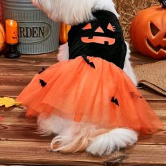 Hallowmas dog dress