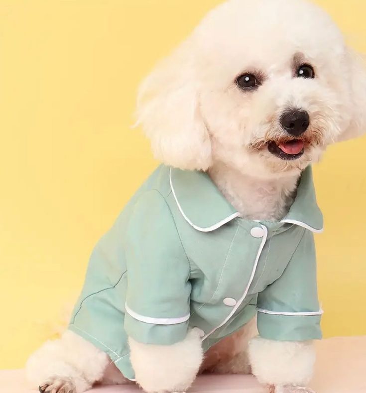 Mint Green Contrast Piping Dog Pajama Set