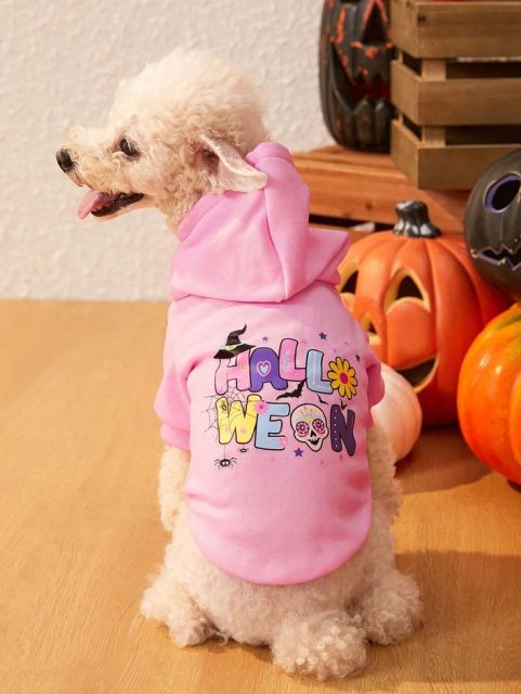 Pink Halloween Graphic Dog Hoodie