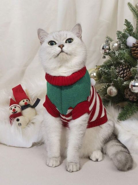 Custom Dog Hoodie – Reindeer Velvet Holiday Onesie