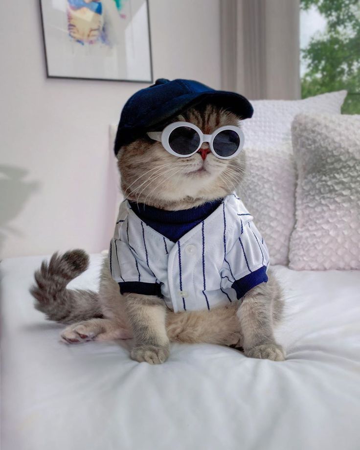 White & Navy Striped Cat Baseball Jersey