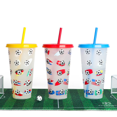 Wholesale 24oz Soccer Color Changing Cup | Custom Football Souvenir Tumbler