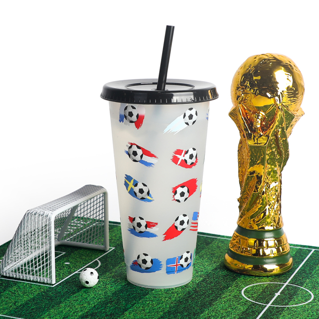 Wholesale 24oz Soccer Color Changing Cup | Custom Football Souvenir Tumbler