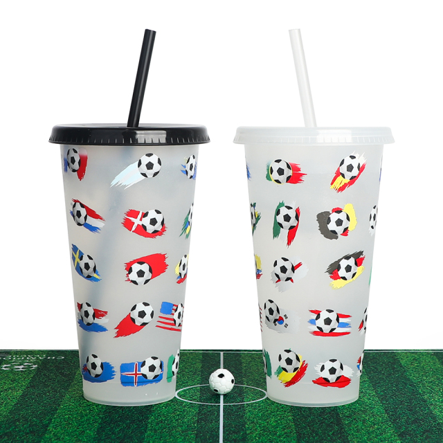 Wholesale 24oz Soccer Color Changing Cup | Custom Football Souvenir Tumbler