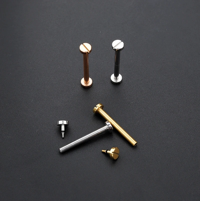 For Cartier Pasha Notched Watch Strap Stainless Steel Connection Rod Men's and Women's Watch Screw Rod Watch Accessories 19*6MM
