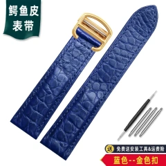 Blue-Gold Buckle