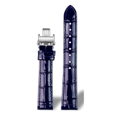 Blue-Silver