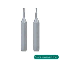 Silver 2 pieces