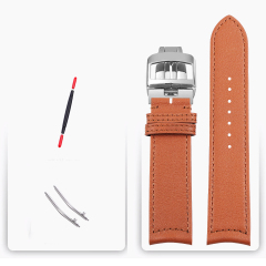 Brown - Silver