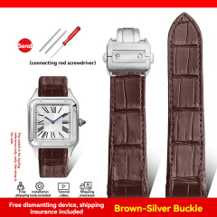 Brown Silver