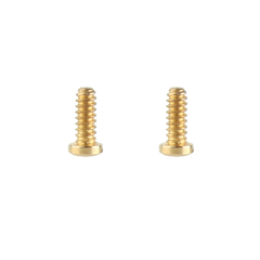 Gold Screws (2pcs)