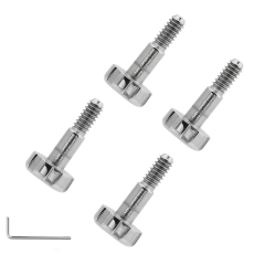 Silver Screws (4pcs)