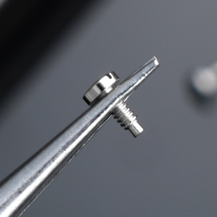 Replacement Case Back Screw for IWC Portugieser IW3714/IW3716