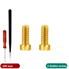 Gold Screws 2PCS