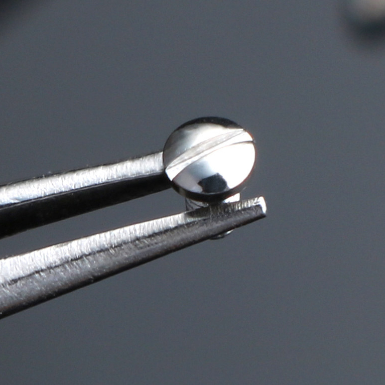 Replacement Caseback Screw Set for Omega Constellation 123.2