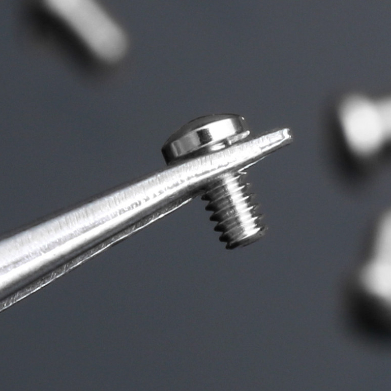 Replacement Caseback Screw Set for Omega Constellation 123.2