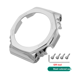 Case - Silver