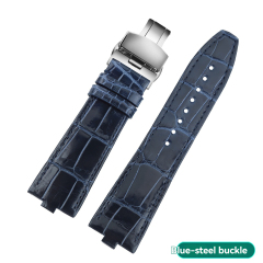 Blue - Silver
