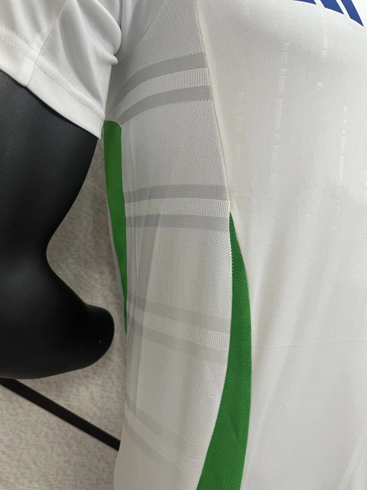Italy Natio Away R.Baggio 10 Shirt 2024-2025 Player version Size：S-2XL Non-Customize
