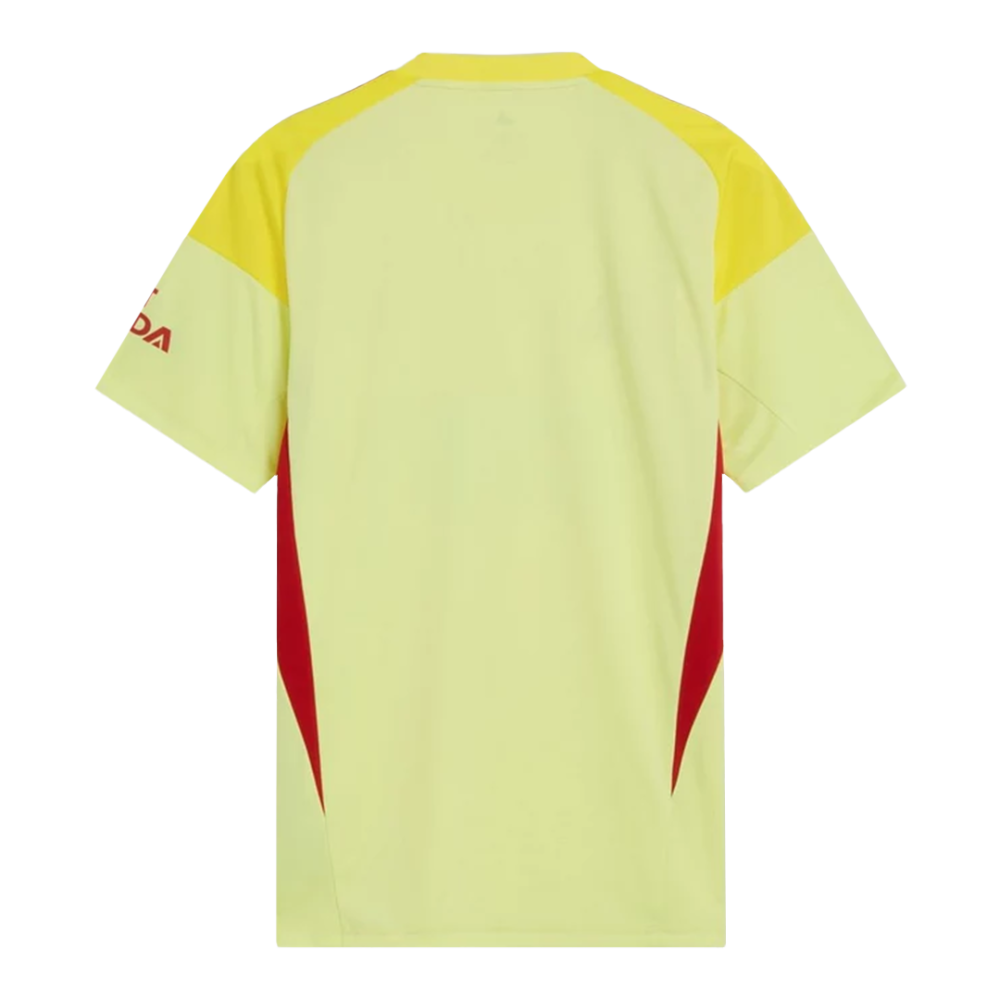Arsenal Goalkeeper Shirt Soccer Jersey 2025-26
