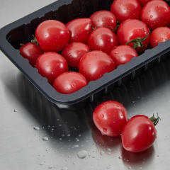 DQ400T-E Tabletop MAP Tray Packaging Machine 5-6 Cycles Min Output