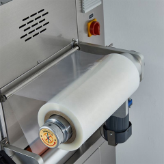 DQ330VSL Vertical Skin Packaging Machine 63m³/h Vacuum High-Quality Food Sealer