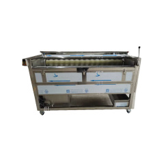 Descascador de legumes comercial TY1000, capacidade de 500 a 800 kg/h, em aço inoxidável 201.