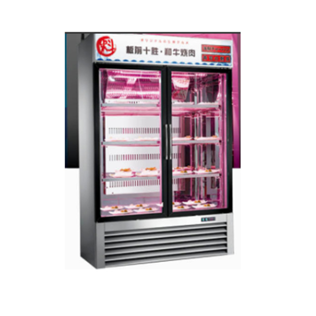 Deep-Freeze Single-Door Cabinet SS550F -25℃ High Performance Refrigeration
