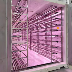 Sistema de cultivo hidropônico de hortaliças folhosas em contêiner de 40 pés para agricultura urbana.