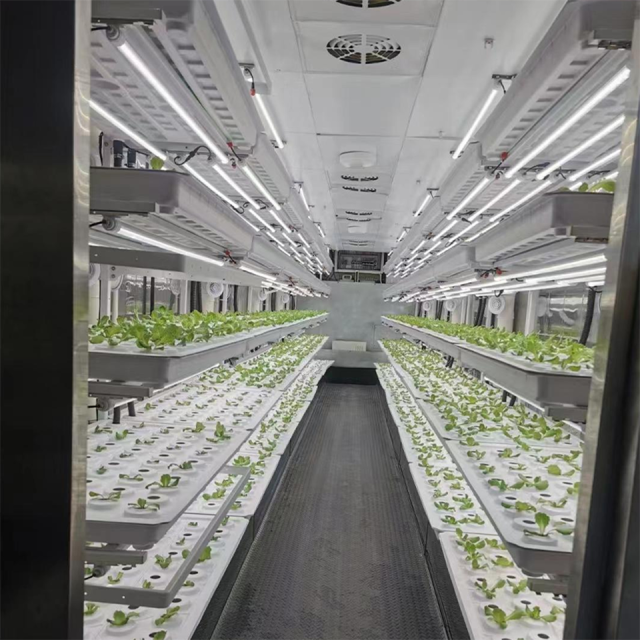 Sistema de cultivo hidropônico de hortaliças folhosas em contêiner de 40 pés para agricultura urbana.