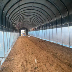 Invernadero de membrana arqueada para hortalizas de 6 a 10 m de luz para la producción comercial de cultivos.