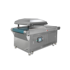 DZ-850CFD Commercial Conveyor Vacuum Packaging Machine Dual Sealing Bars