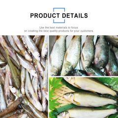 Máquina comercial horizontal para limpeza de peixes em aço inoxidável 220V