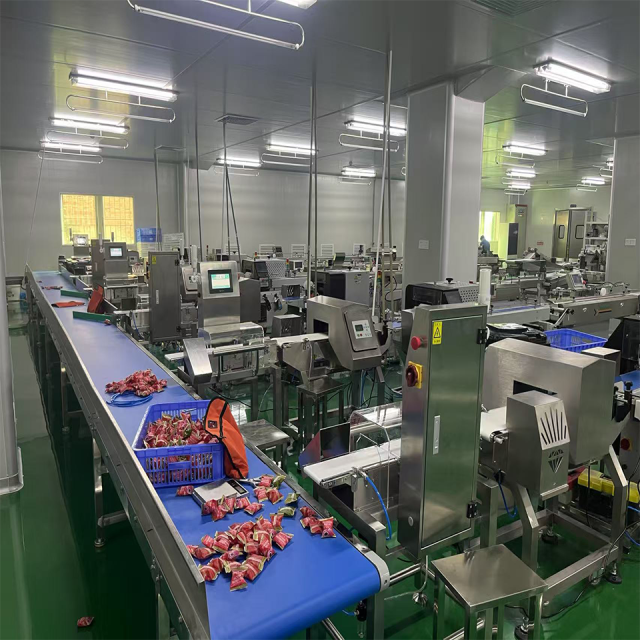 Balança de Controle Automática RD-A300 - Produtos Alimentícios Embalados de 10 a 3000g - Aço Inoxidável 304 (Grau Alimentício)