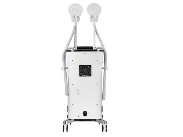 EM Slim Machine
