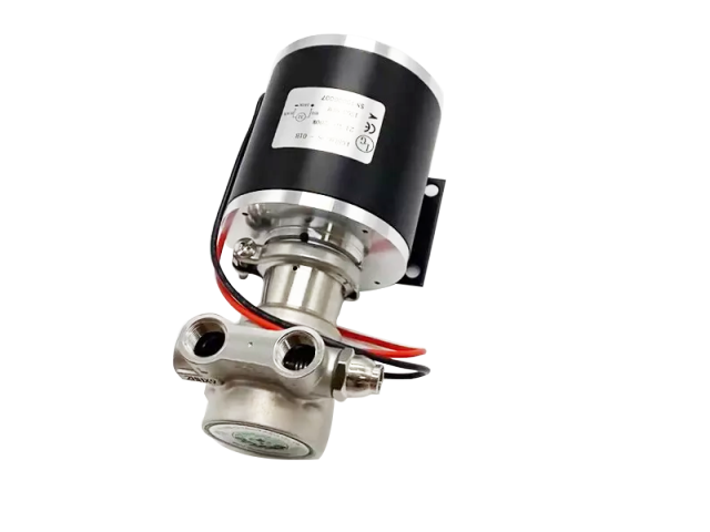 Italy import water pump for 808nm diode laser machine