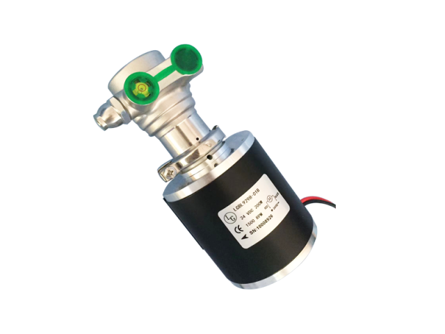 Italy import water pump for 808nm diode laser machine